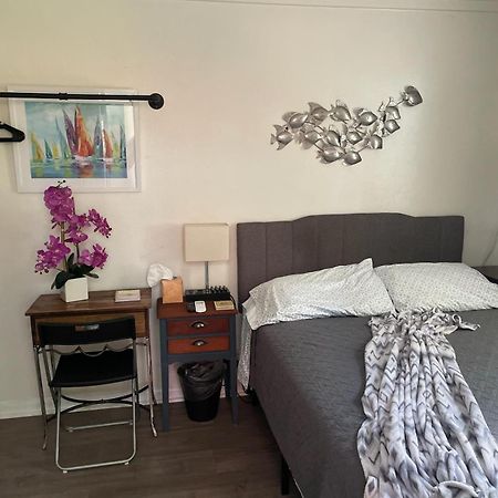 Lovely Studio Apartment With Kitchenette. Tampa Exterior photo