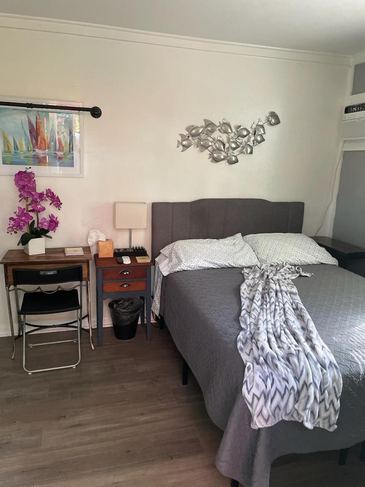 Lovely Studio Apartment With Kitchenette. Tampa Exterior photo