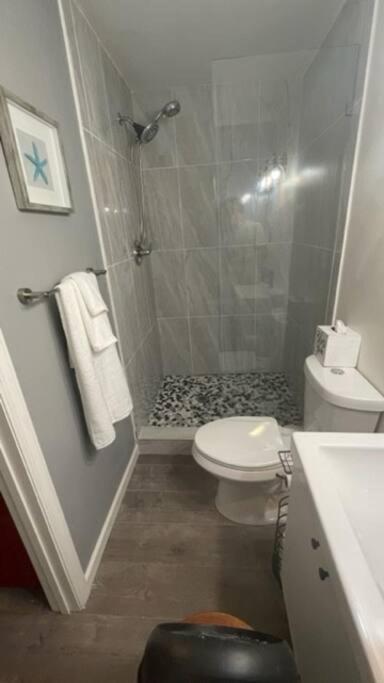 Lovely Studio Apartment With Kitchenette. Tampa Exterior photo